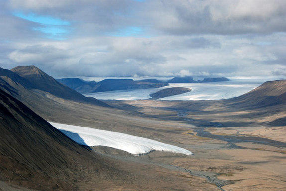 Cold-Loving Bacteria Offer Clues for Life on Mars